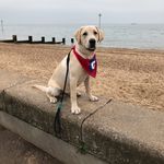 Sheila Haylett - @haylettsheila - Instagram