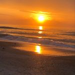 Sheila McKee Healy - @sheilahealy44 - Instagram