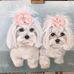 Sheila Barbara Hearn - Facebook