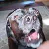 sheila - @sheilaheath635 - TikTok