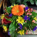 Sheila Heiser - @heiser4402 - Instagram