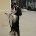 Sheila Hemming - Facebook