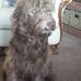 Sheila Hemming - Facebook