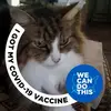 Sheila Herring Weaver - @sheila.herring.we - TikTok