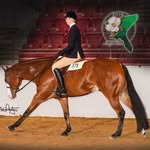 Sheila Megan - @sheila.hinkley.3 - Instagram