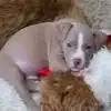 sheilahinkle4 - @hinkshoney.thanks - TikTok
