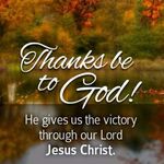 Sheila Holcomb - @sheilaholcomb - Instagram