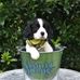 Sheila Holder - Facebook