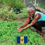 Sheila Hope-Harewood - @shemars_organicproducts - Instagram