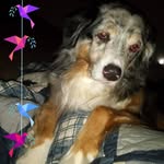 Sheilah Otto Jones - @sheilahottojone - Instagram