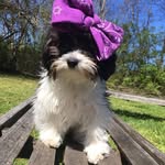 Sheila Hurley - @sheila.hurley.49 - Instagram