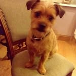 Sheila Hynes - @sheilahynes6 - Instagram
