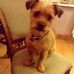Sheila Hynes - Facebook