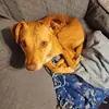 sheilajahncarpenter - @sheilajahncarpenter - TikTok
