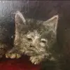 Sheila & Janice - @sheila_and_janice - TikTok