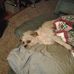 Sheila Jeffcoat - Facebook