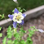 Sheila Kaiser - @sheila.kaiser.50 - Instagram