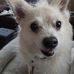 Shelia Kane - Facebook