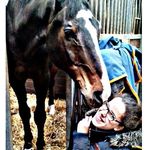 sheila❤kasper - @kaspermydreamhorse - Instagram