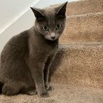 Sheila Kerley - @sheila_kerley1432 - Instagram