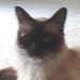 Sheila Kerr - Facebook