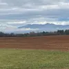 Sheila Kettinger - @sheila.kettinger - TikTok