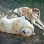 Sheila Kirsch - @sk444sk444 - Instagram