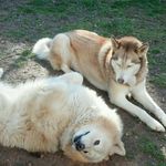 Sheila Reavis Kirsch - @sk444sk - Instagram