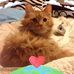 Shelia Kiser - Facebook