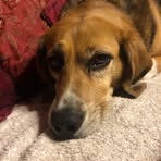 Sheila Knott - Facebook