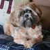 Sheila Kohls - Facebook