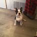 Sheila Lampley - Facebook