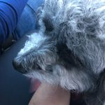 Sheila Lebowitz - @sheilalebowitz7205 - Instagram