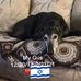 Sheila Lebowitz - Facebook