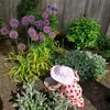 Sheila Lemley Richmond - @nan.of.2 - TikTok