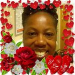 Sheila Linder - @sheilalinder6030 - Instagram
