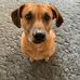 Sheila Luck - Facebook