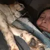 sheilapathmcmahon - @sheilapathmcmahon - TikTok