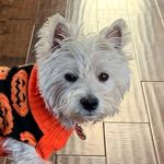 Sheila Mallard - @tavish_at_home - Instagram
