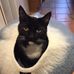 Sheila Mallard - Facebook