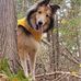 Sheila Maxwell Labine - Facebook
