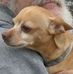 Sheila Maynard-morgan - Facebook