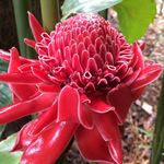Sheila McCann - @50newat50 - Instagram