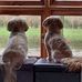 Sheila McCullar - Facebook