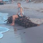 Sheila Gamble Mccurry - @sheila_mccurry - Instagram
