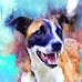 Sheila McHugh - Facebook