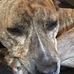 Sheila Mchugh - Facebook