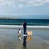 sheilamchugh7 - @sheilamchugh7 - TikTok