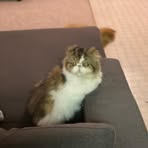 Sheila McKeever - Facebook