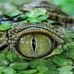 Sheila Meeks - Facebook